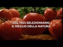 Polpachef- Classic Tomato Pulp (2x5kg)