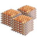 Eggpro- Free Range Jumbo Eggs Foodservice 120 (B20)