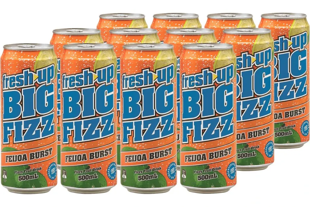 fresh up big fizz feijoa burst 12 x 500ml [B]*