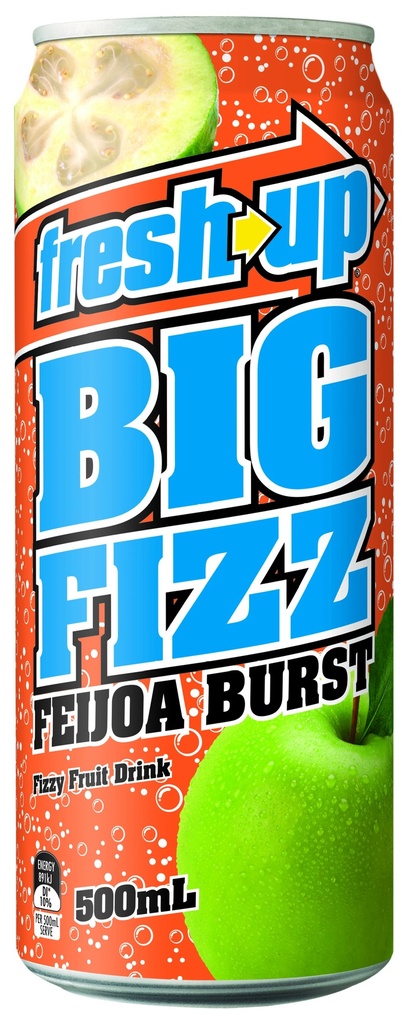 Fresh Up Big Fizz Feijoa Burst 12 x 500ml *