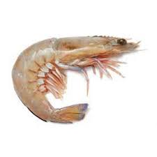 Whole Green U6 Qld King Prawns 5kg