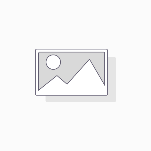San Benedetto Italian Passion Chinotto 330ml x24