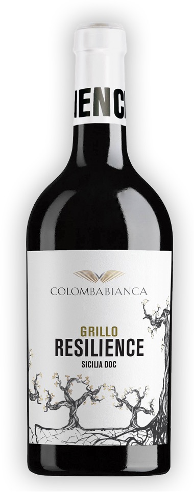 Colomba Bianca - Grillo 2024 6x750ml