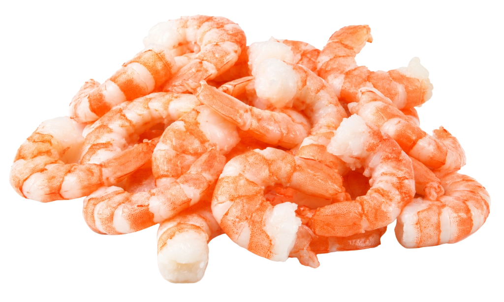 Cooked & Peeled Prawn Meat 100/200 700gm