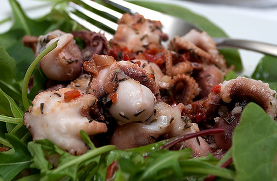 Baby Octopus IQF 5/15 900g