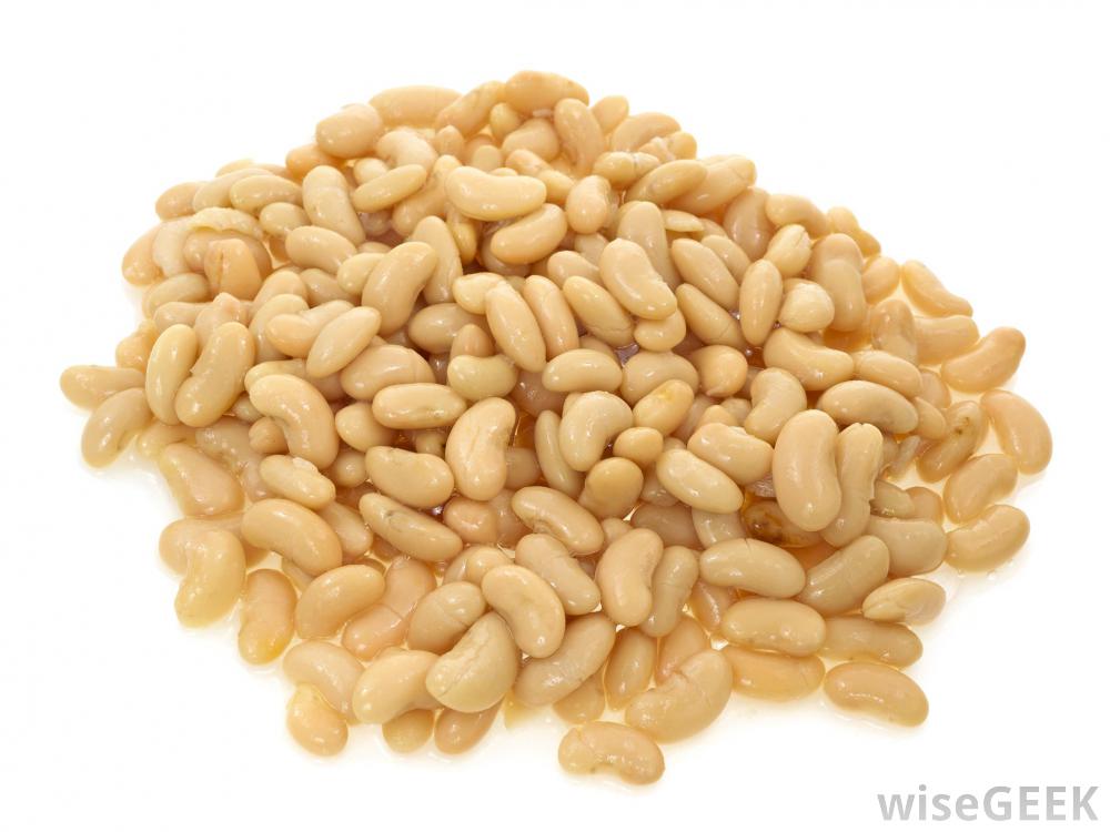 CANNELLINI BEANS 2.5kg