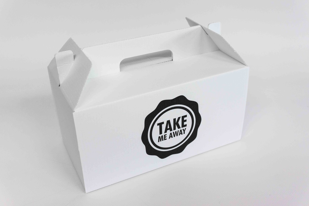 Euro Picnic Carry Box x 100 (24.5x13.5x12)