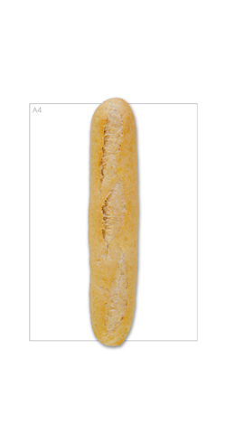 Half Baguette Brown 160g x 48