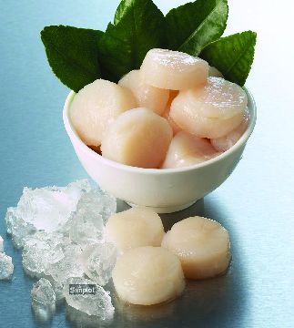 IQF Roe-Off Scallops 10/20 1kg