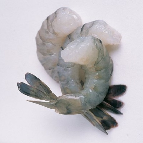 Raw Vannamei 21/25 Prawn Cutlets 1kg