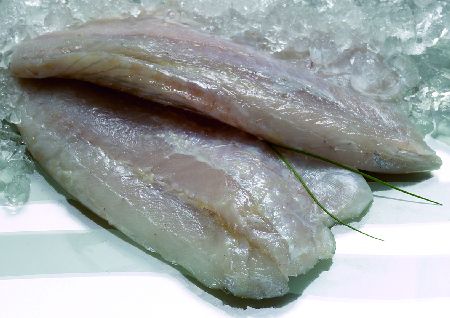 Saltwater Barramundi Fillets S/Less 200/300 - 5kg