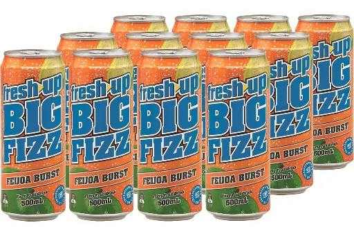 [MARCHETTI150230] fresh up big fizz feijoa burst 12 x 500ml [B]*