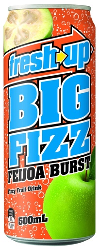 [MARCHETTI150230-B] Fresh Up Big Fizz Feijoa Burst 12 x 500ml *