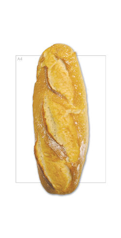 [PUREBAKED165-B] Large Vienna 590gm x 15