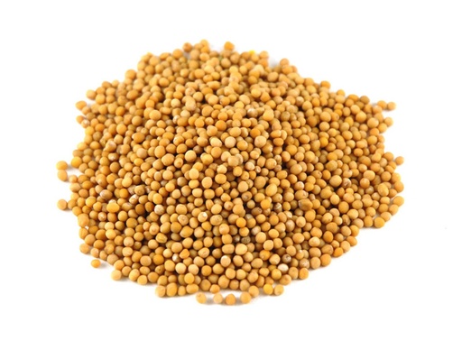 [MUSTARD/SEEDS-U] Yellow Mustard Seeds 500gm